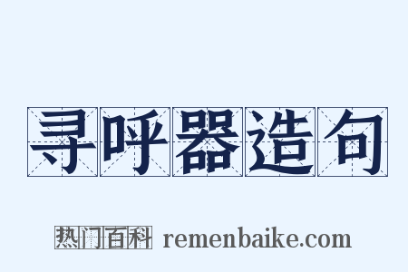 寻呼器造句是什么意思的图片
